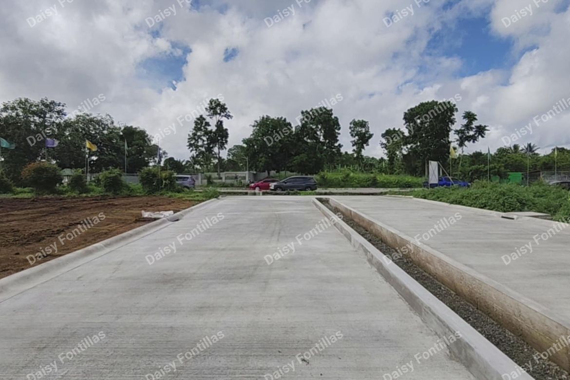 Land for Sale in Pangil, Amadeo, Cavite – photo 8