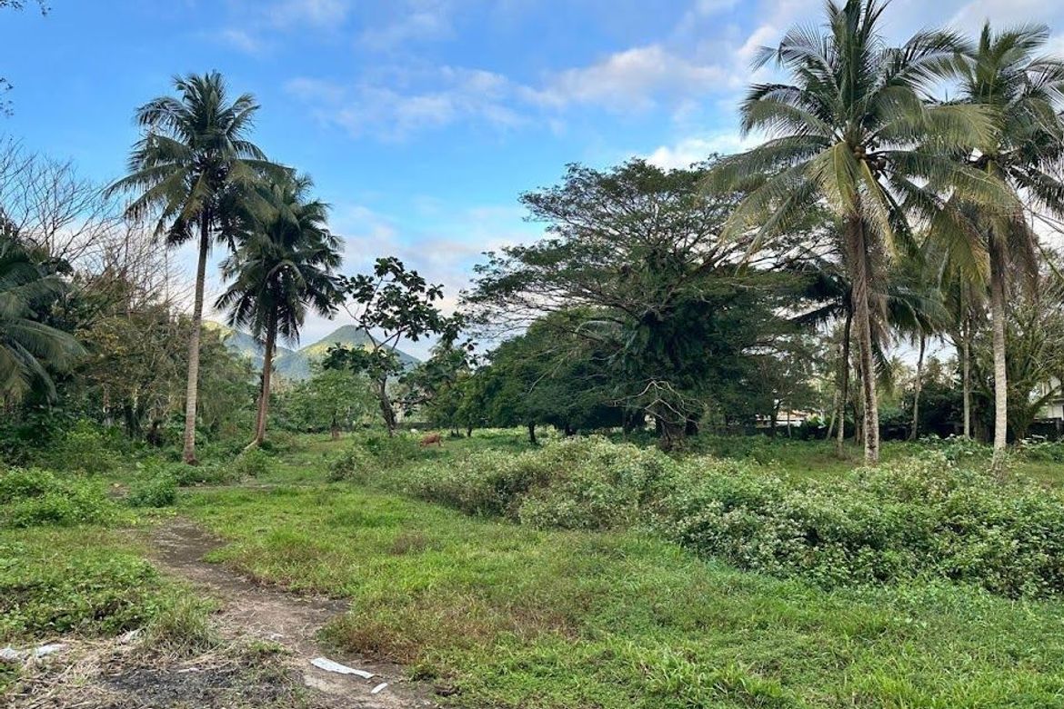 Land for Sale in Pangpang, Sorsogon, Sorsogon