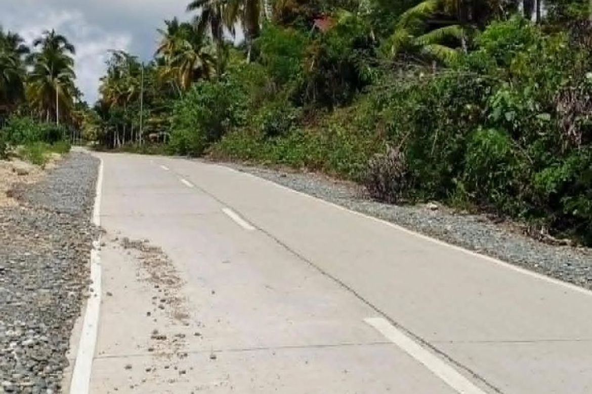 Land for Sale in Pangubatan, Samal, Davao del Norte – photo 2