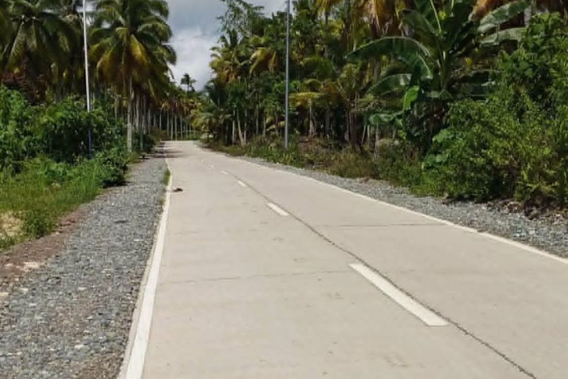 Land for Sale in Pangubatan, Samal, Davao del Norte – photo 4