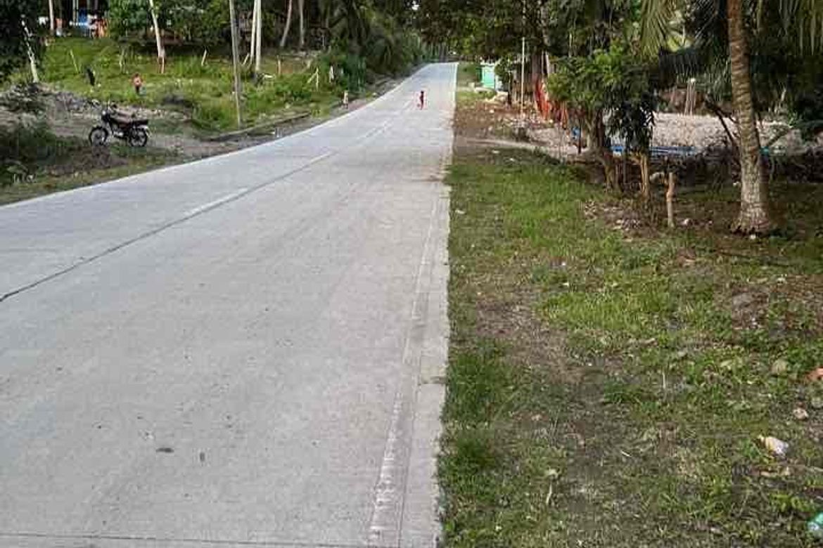 Land for Sale in Pangubatan, Samal, Davao del Norte – photo 2