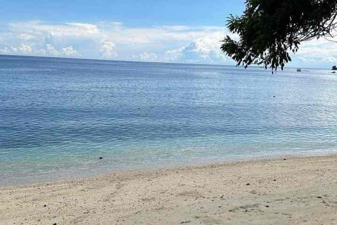 Land for Sale in Pangubatan, Samal, Davao del Norte – photo 3