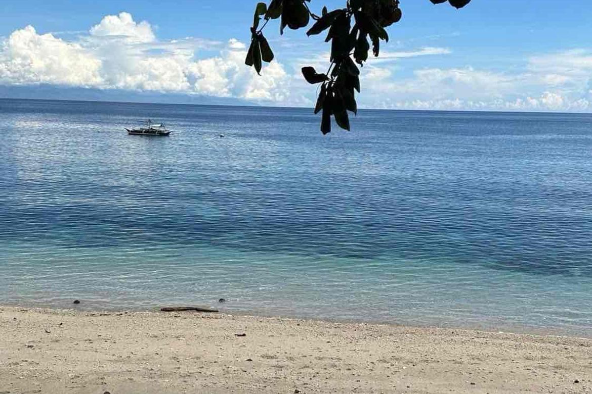 Land for Sale in Pangubatan, Samal, Davao del Norte – photo 7