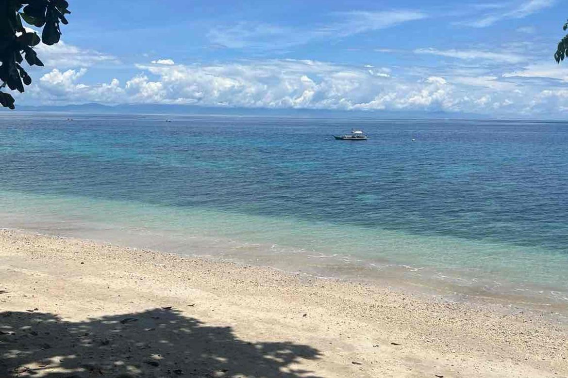 Land for Sale in Pangubatan, Samal, Davao del Norte – photo 8