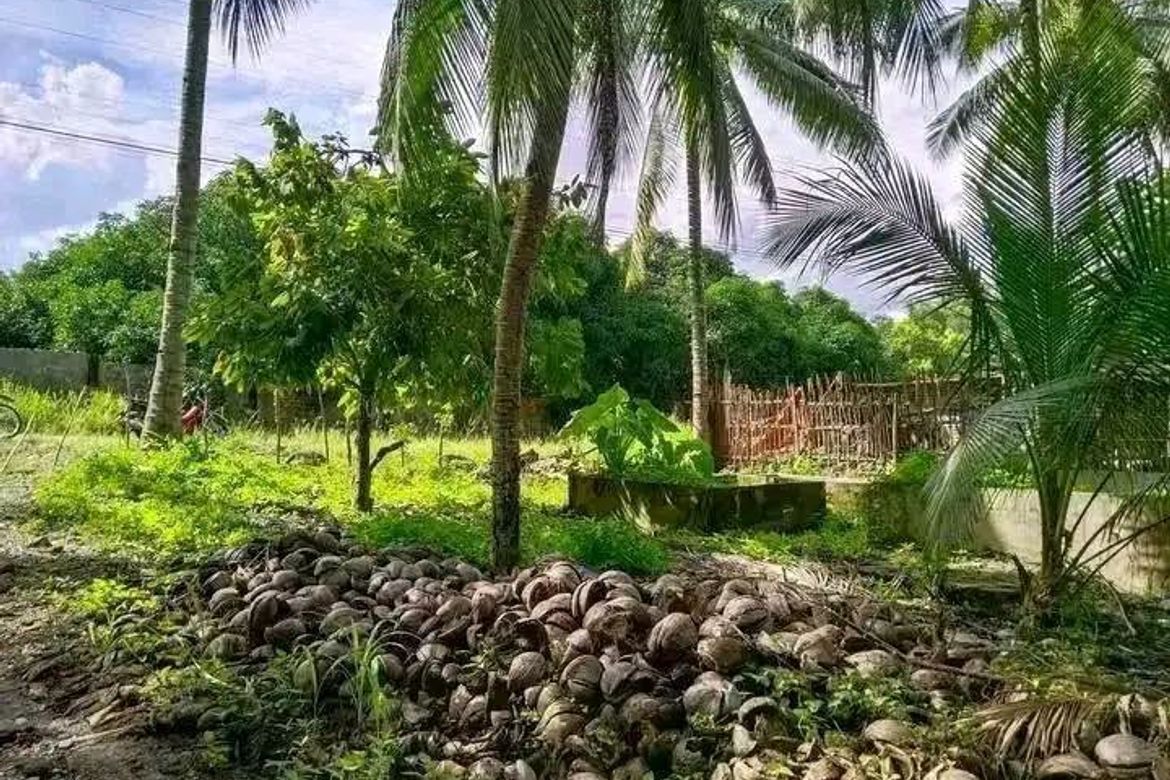 Land for Sale in Pangyan, Davao City, Davao del Sur – photo 3