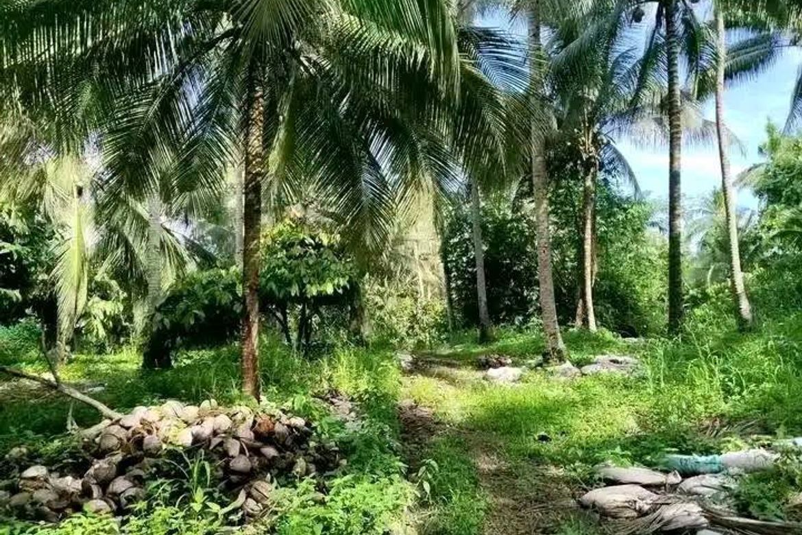 Land for Sale in Pangyan, Davao City, Davao del Sur – photo 6