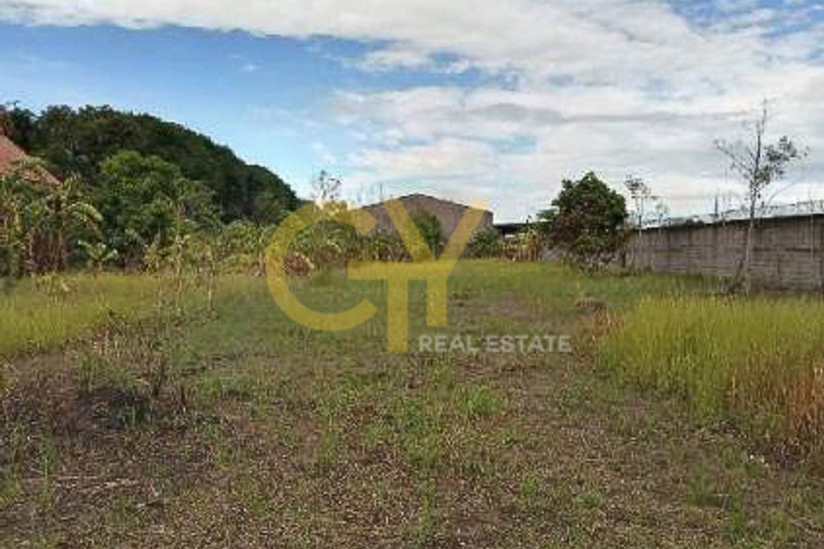 Land for Sale in Panipuan, Mexico, Pampanga