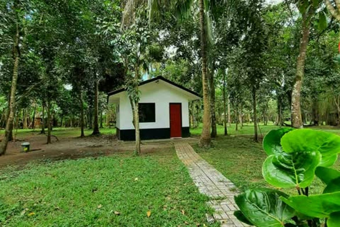 Land for Sale in Pansol, Calamba, Laguna – photo 4