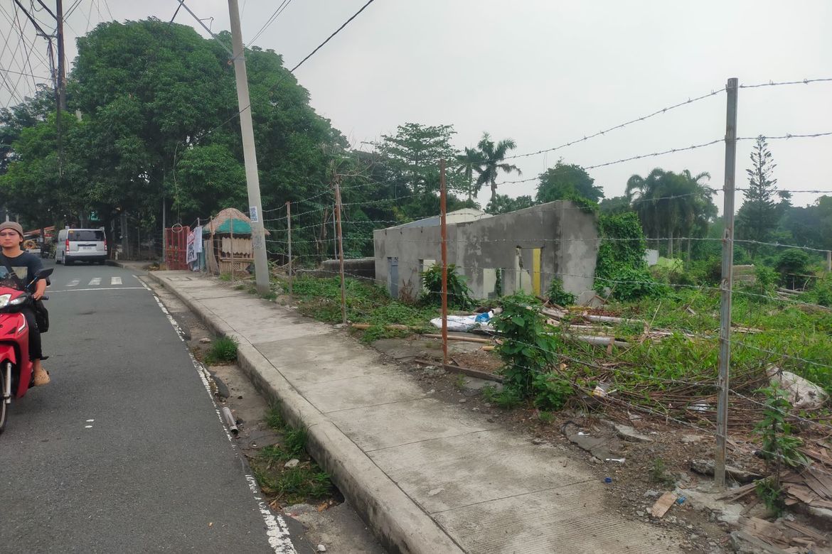 Land for Sale in Pansol, Calamba, Laguna – photo 2