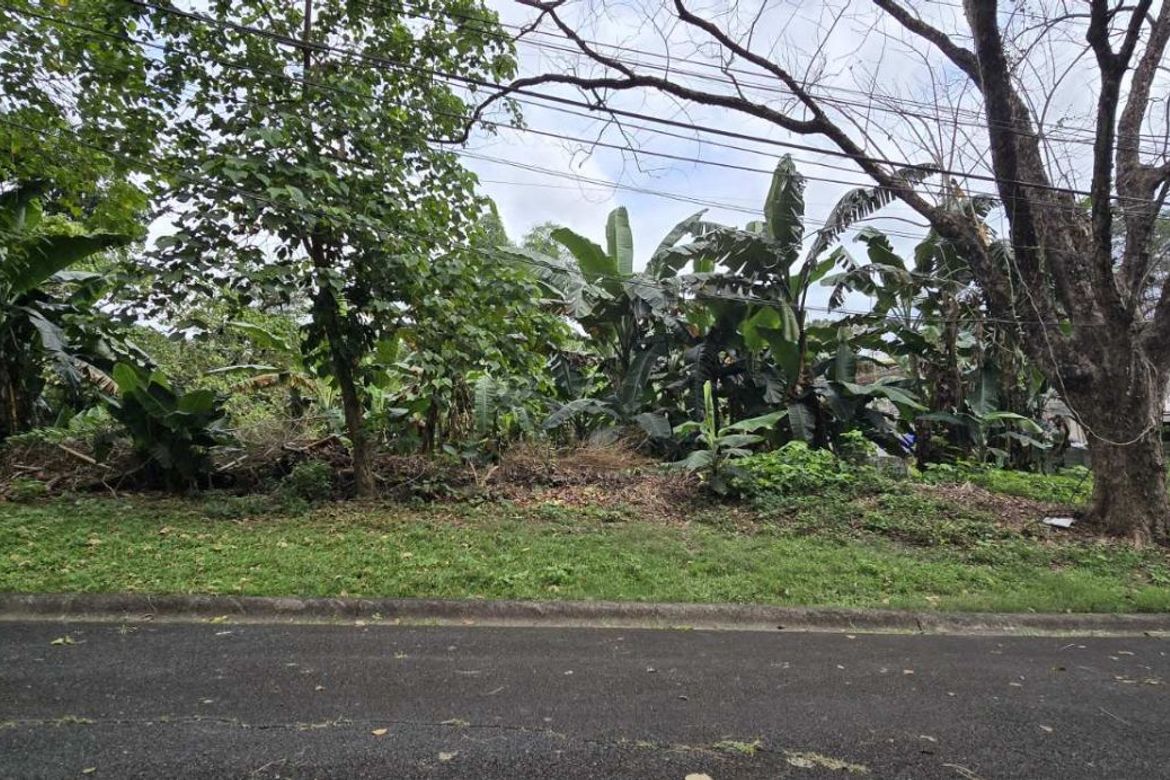 Land for Sale in Pansol, Quezon City, Metro Manila