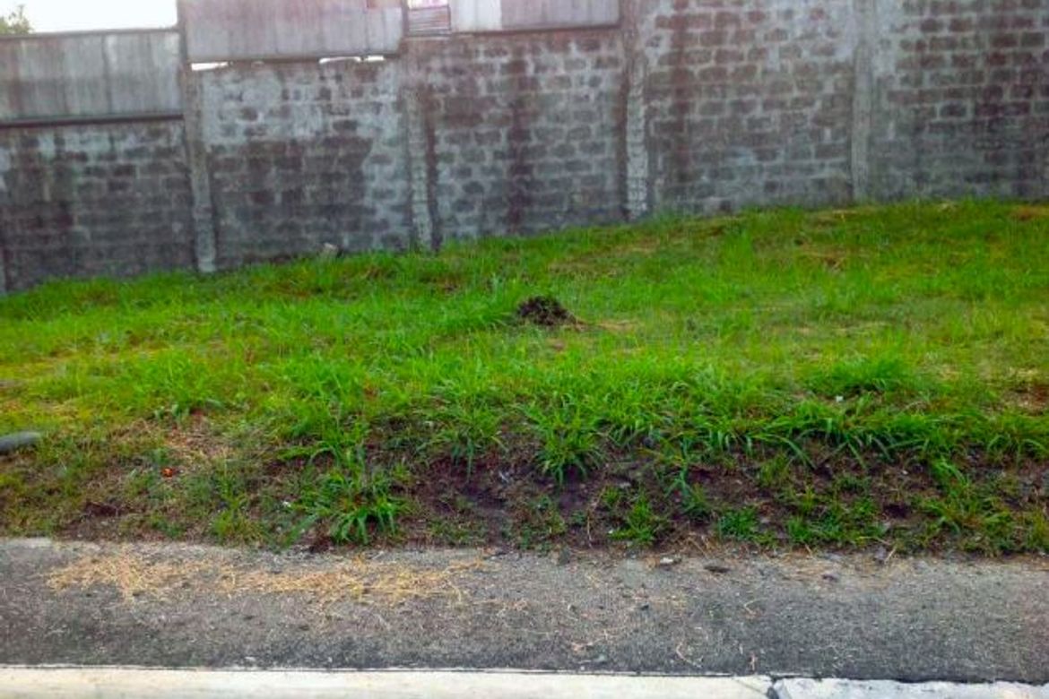Land for Sale in Pansol, Quezon City, Metro Manila