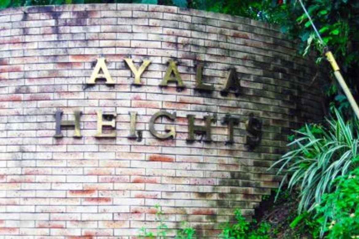 Land for Sale in Pansol, Quezon City, Metro Manila – photo 5