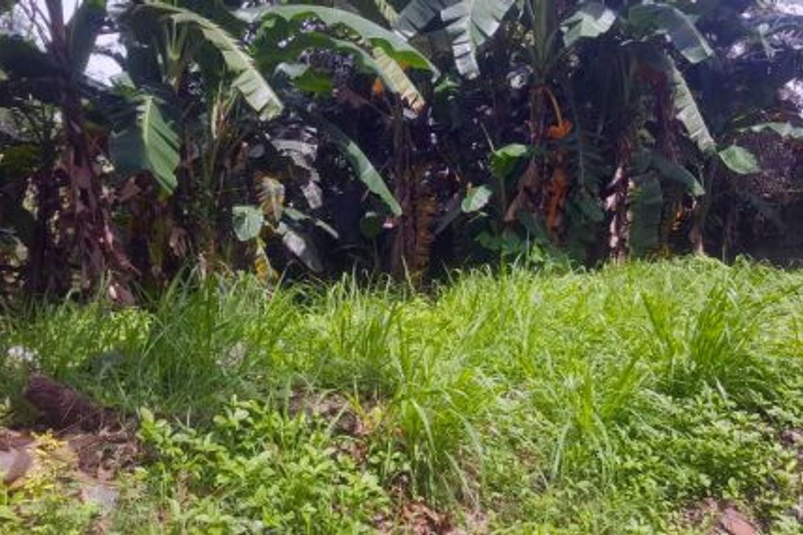 Land for Sale in Pansol, Quezon City, Metro Manila – photo 7