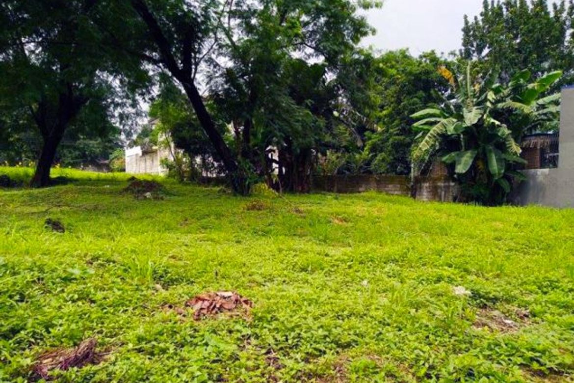 Land for Sale in Pansol, Quezon City, Metro Manila – photo 8