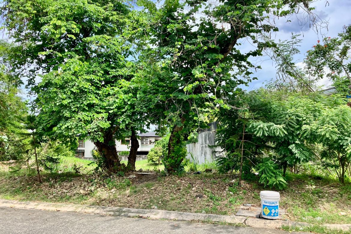 Land for Sale in Pansol, Quezon City, Metro Manila – photo 2