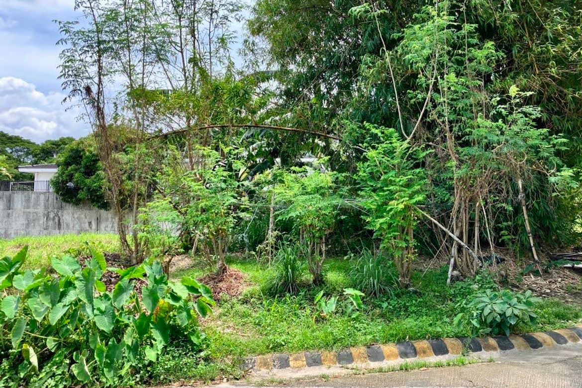 Land for Sale in Pansol, Quezon City, Metro Manila – photo 4