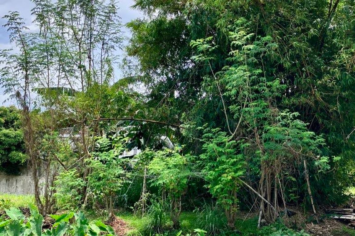 Land for Sale in Pansol, Quezon City, Metro Manila – photo 5