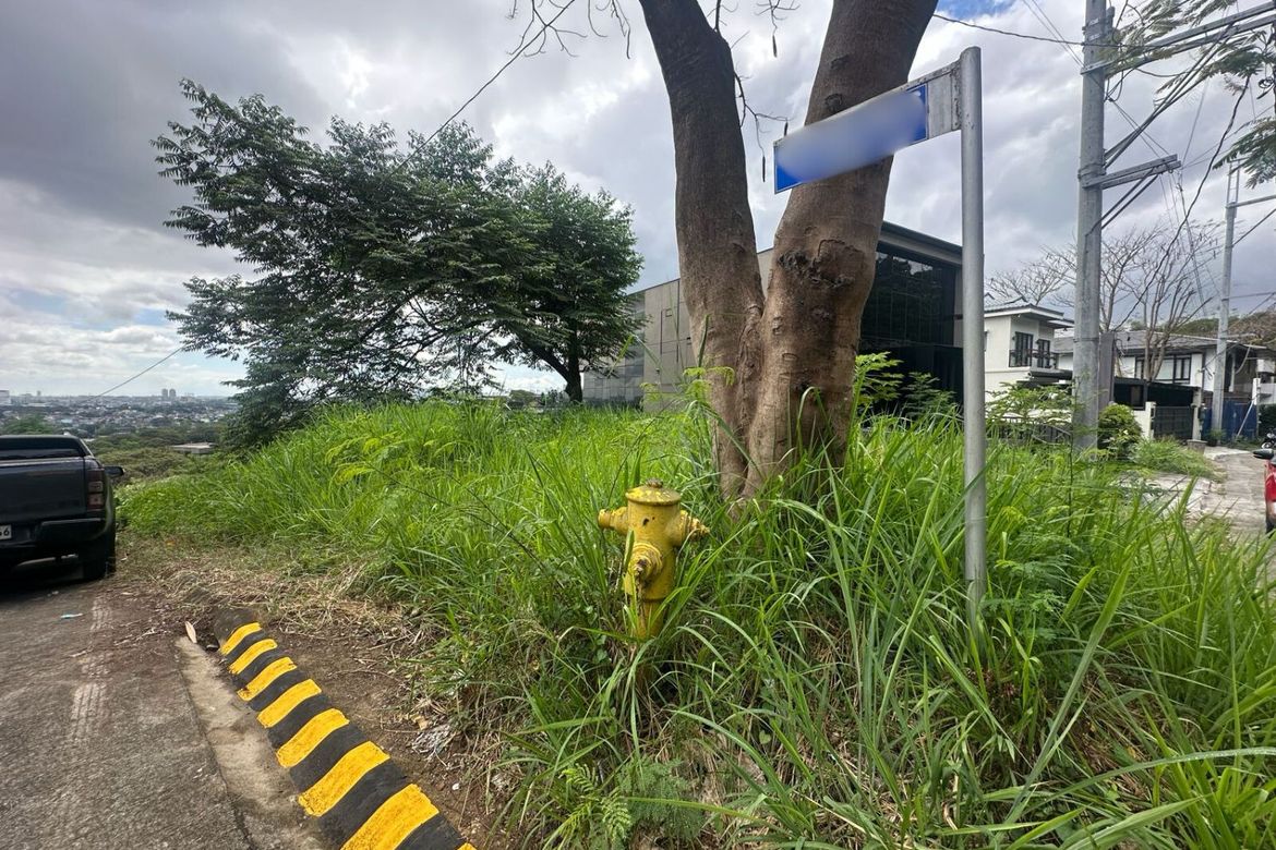 Land for Sale in Pansol, Quezon City, Metro Manila – photo 4