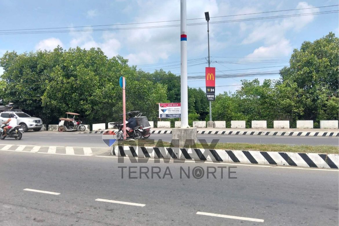 Land for Sale in Pantal, Dagupan, Pangasinan – photo 2