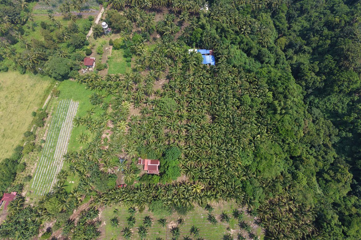 Land for Sale in Pantay, Calaca, Batangas