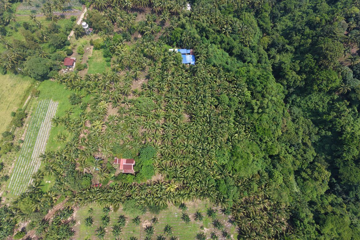 Land for Sale in Pantay, Calaca, Batangas – photo 3