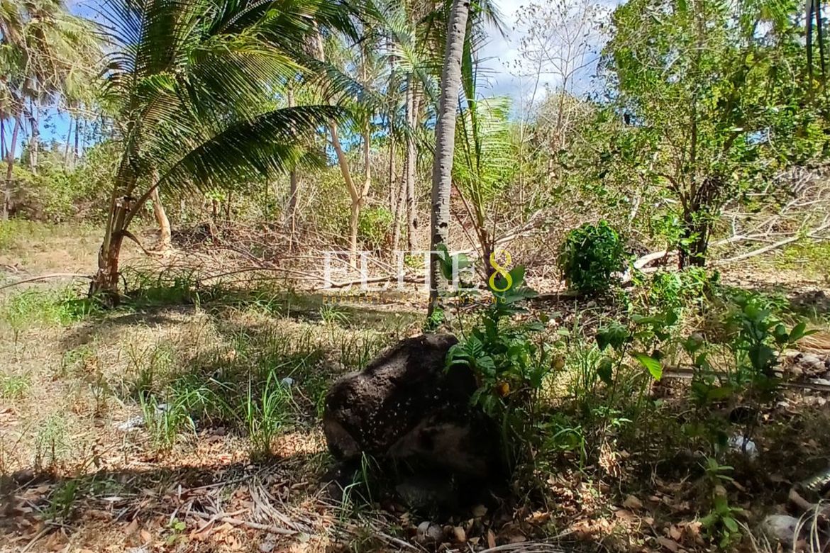 Land for Sale in Panubtuban, Dauin, Negros Oriental – photo 2