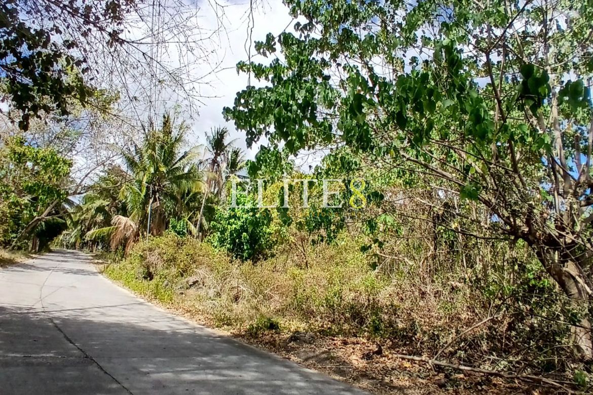 Land for Sale in Panubtuban, Dauin, Negros Oriental – photo 4
