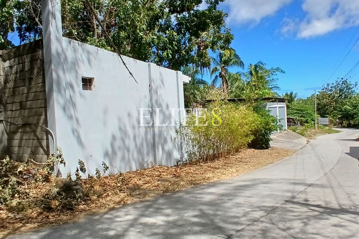 Land for Sale in Panubtuban, Dauin, Negros Oriental – photo 5