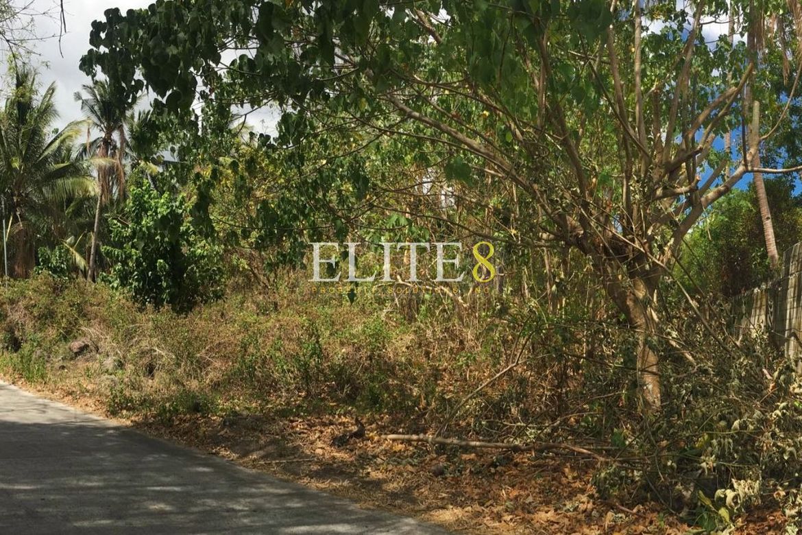 Land for Sale in Panubtuban, Dauin, Negros Oriental – photo 7