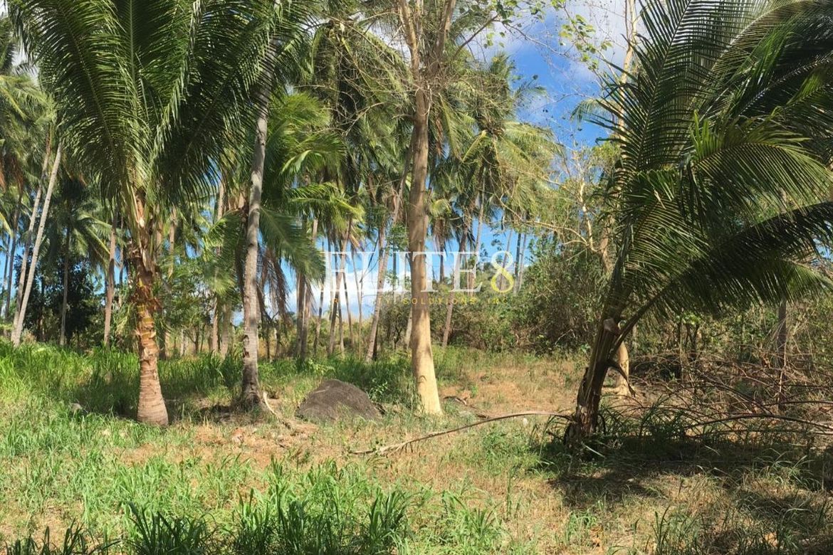 Land for Sale in Panubtuban, Dauin, Negros Oriental – photo 8