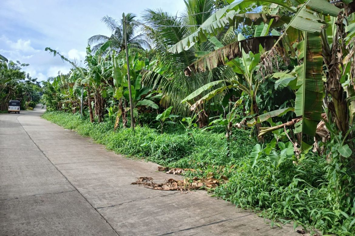 Land for Sale in Panungyan I, Mendez, Cavite