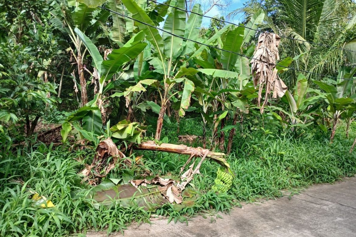 Land for Sale in Panungyan I, Mendez, Cavite – photo 2
