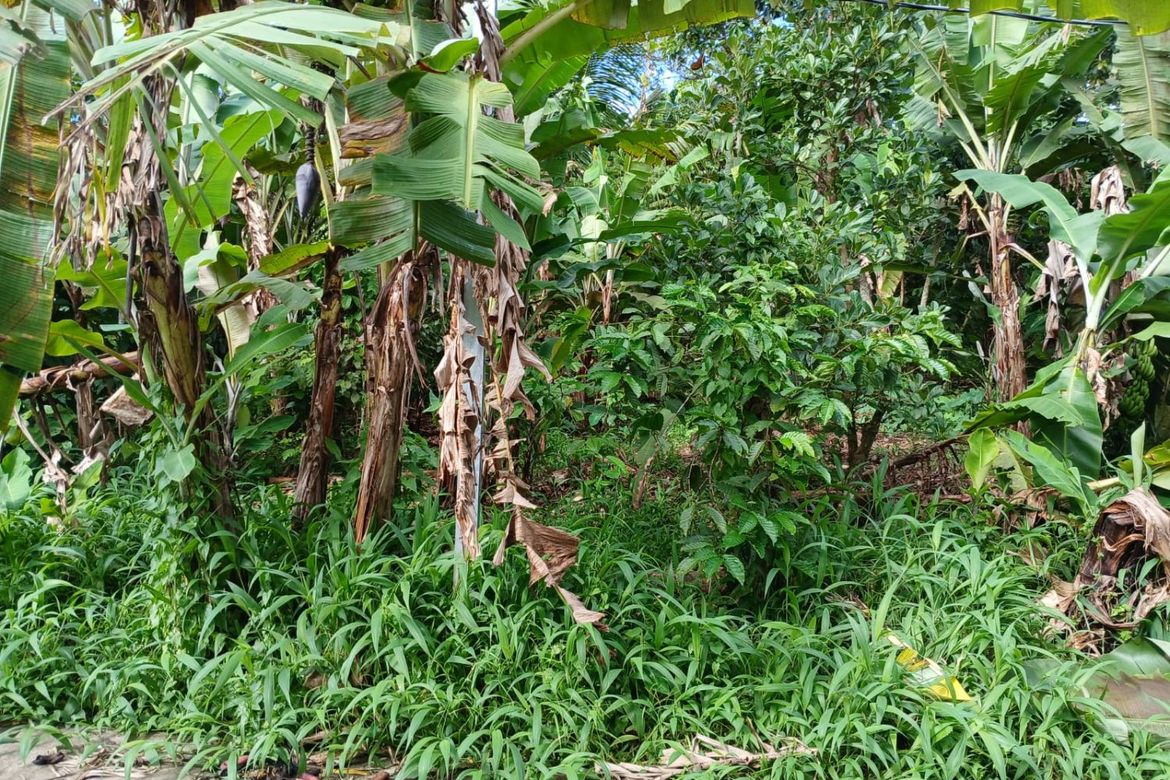 Land for Sale in Panungyan I, Mendez, Cavite – photo 3