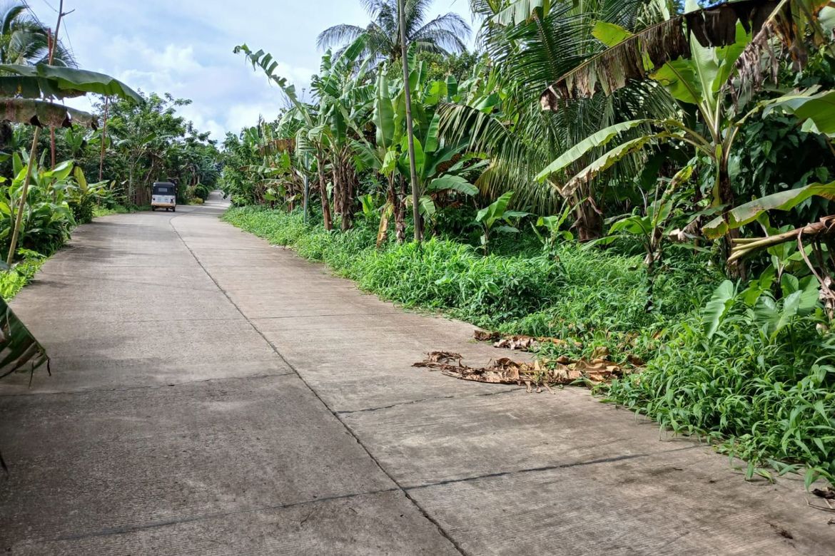 Land for Sale in Panungyan I, Mendez, Cavite – photo 4