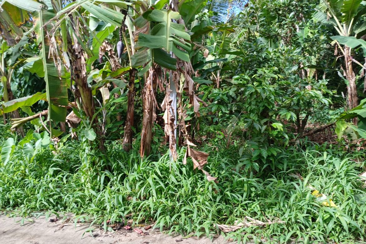 Land for Sale in Panungyan I, Mendez, Cavite – photo 5