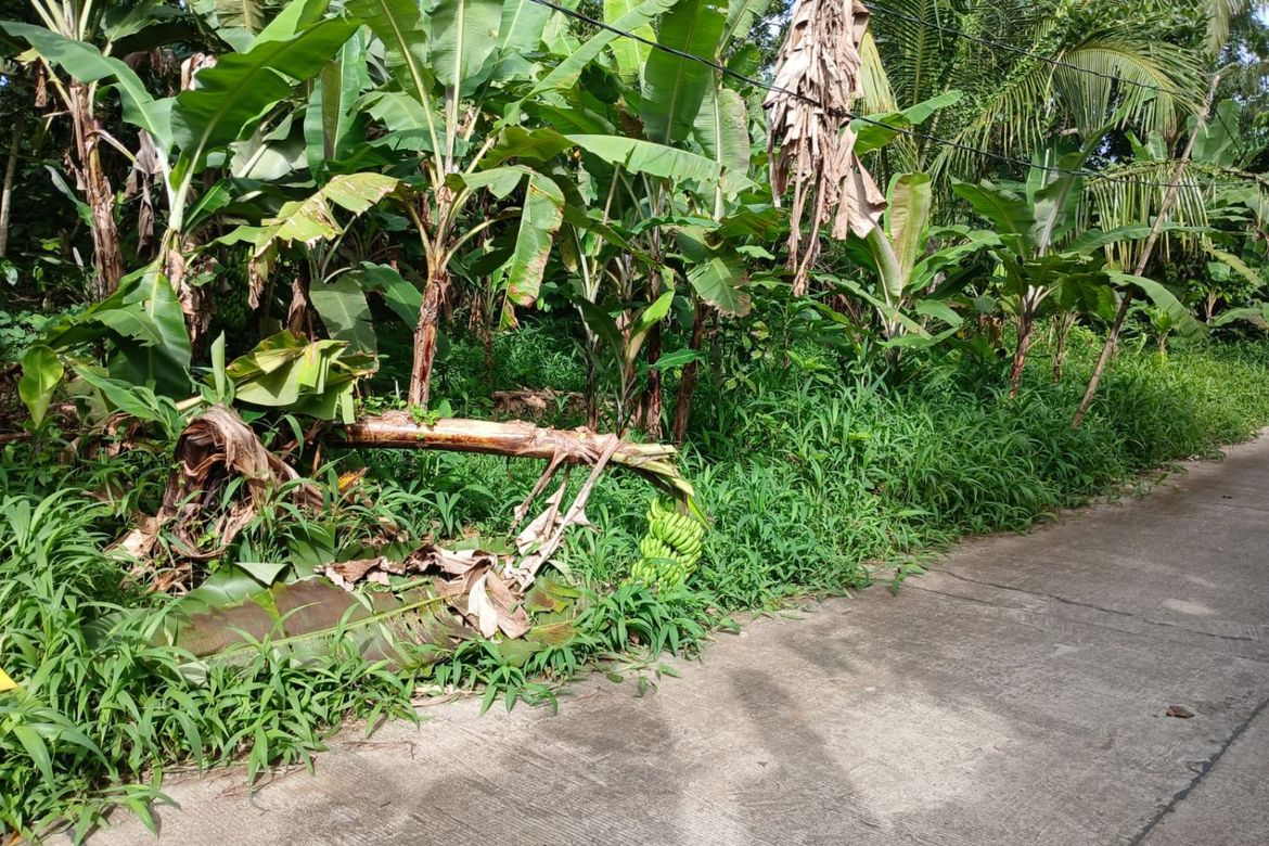 Land for Sale in Panungyan I, Mendez, Cavite – photo 6