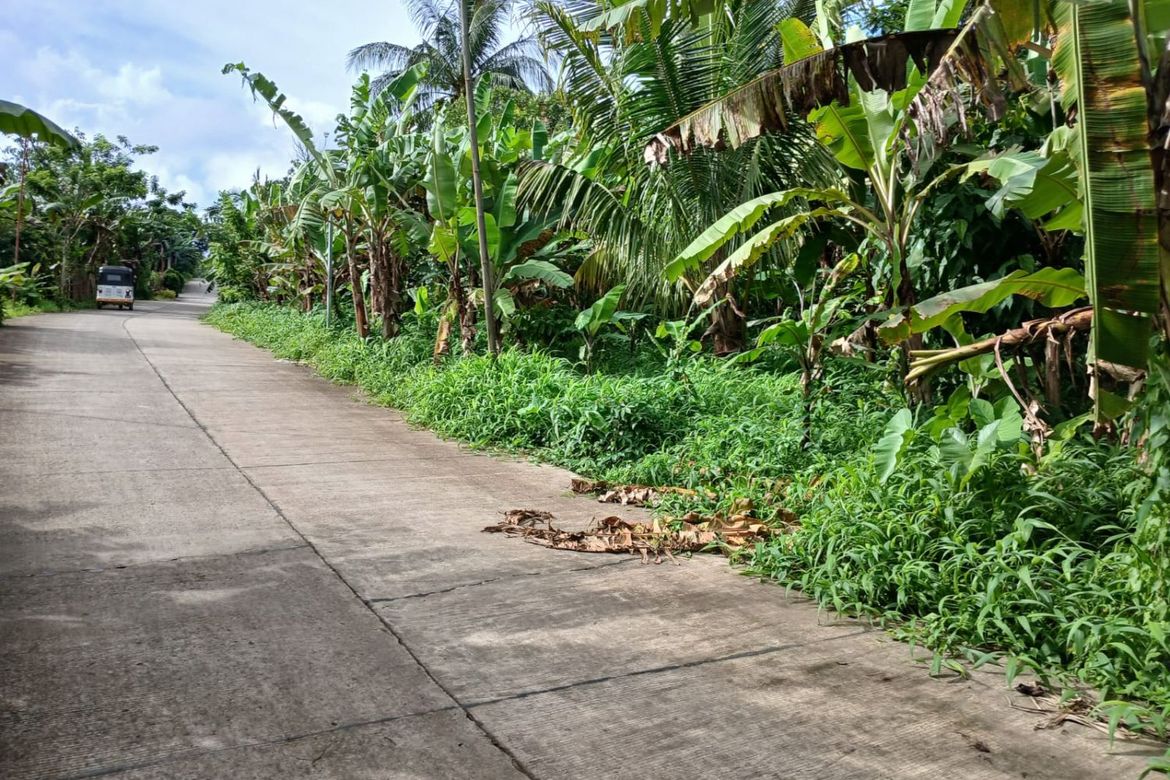 Land for Sale in Panungyan I, Mendez, Cavite – photo 7