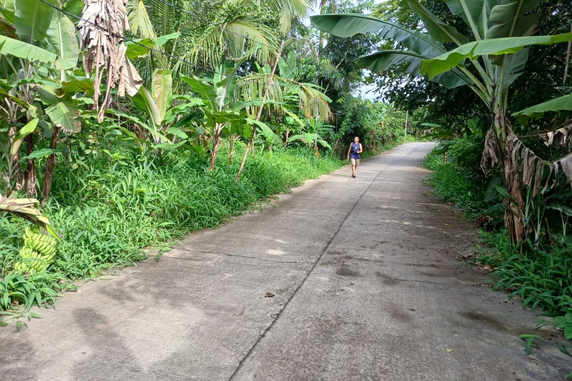 Land for Sale in Panungyan I, Mendez, Cavite – photo 8