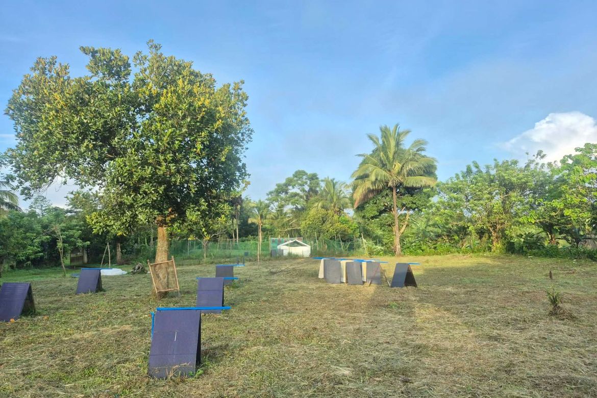 Land for Sale in Panungyan I, Mendez, Cavite – photo 6