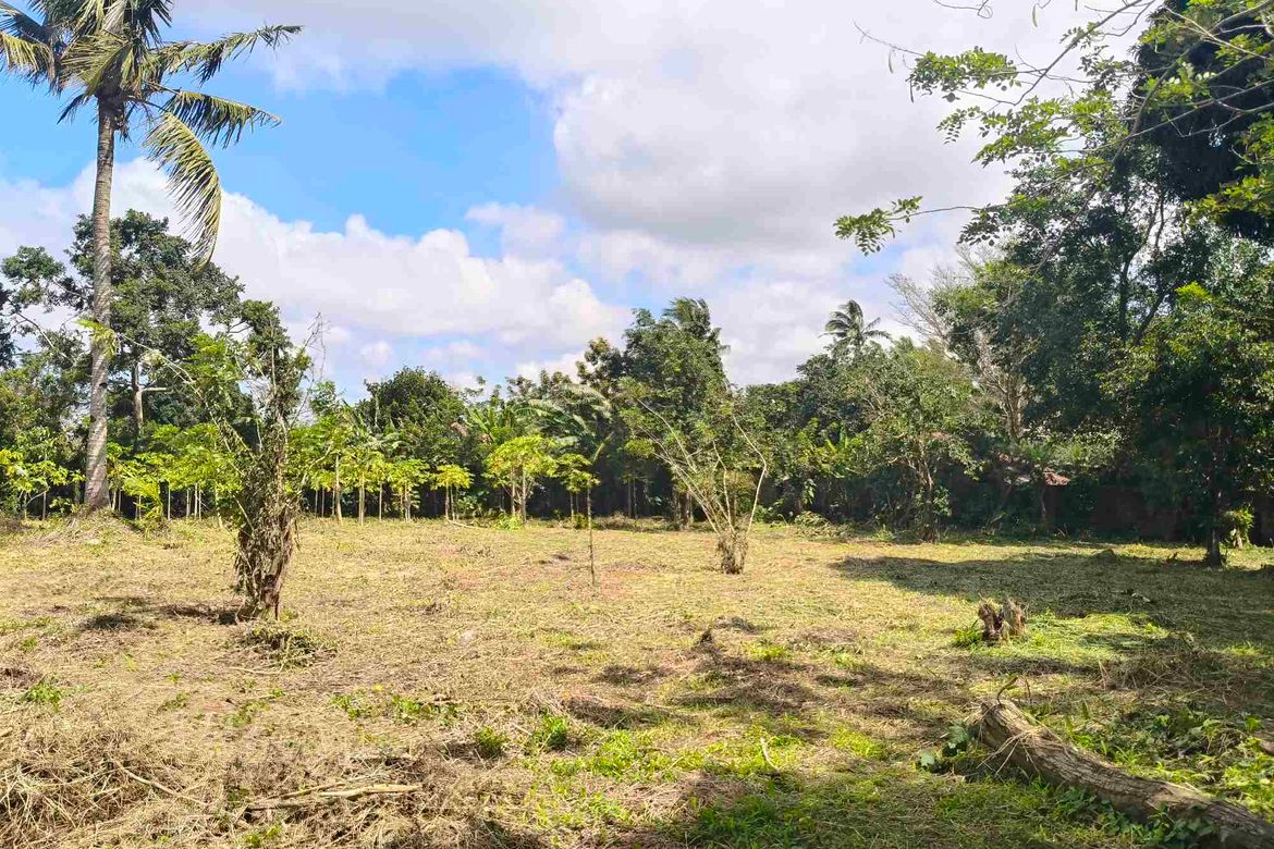 Land for Sale in Panungyan I, Mendez, Cavite – photo 3