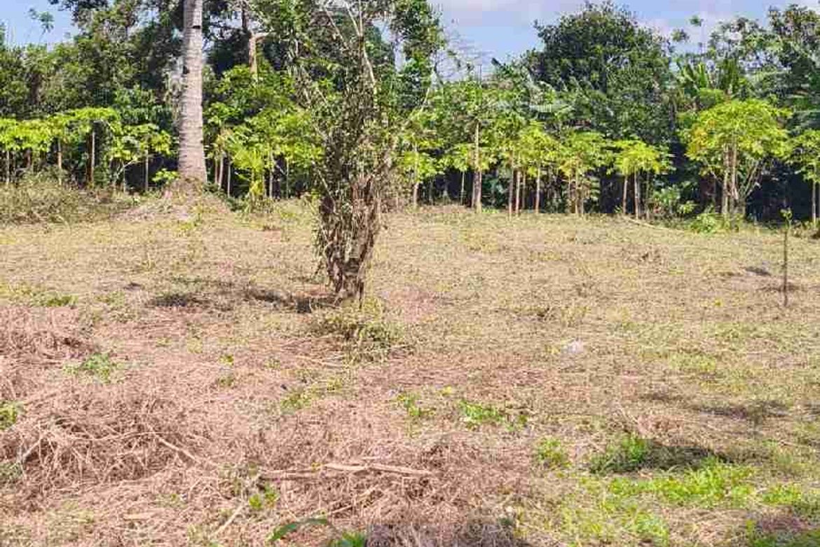 Land for Sale in Panungyan I, Mendez, Cavite – photo 5