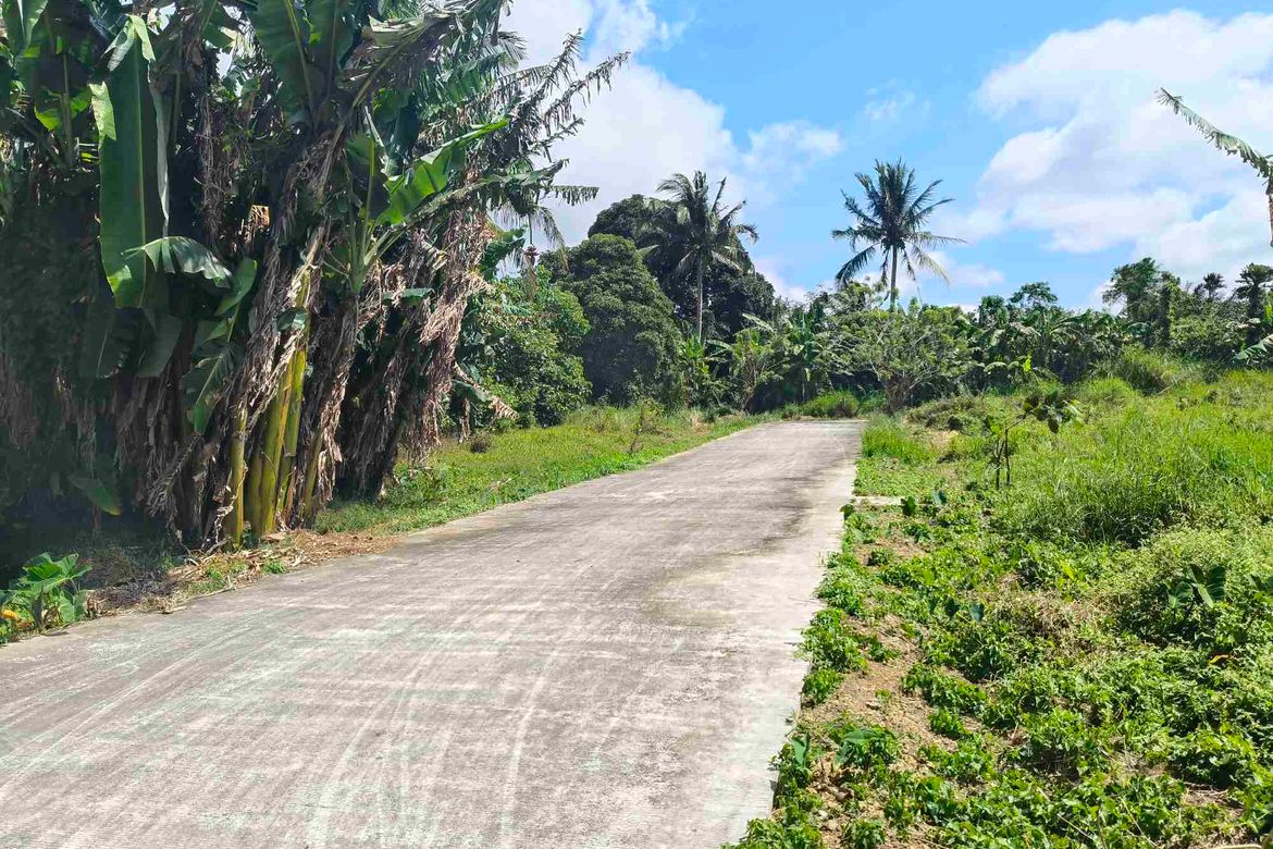 Land for Sale in Panungyan I, Mendez, Cavite – photo 6