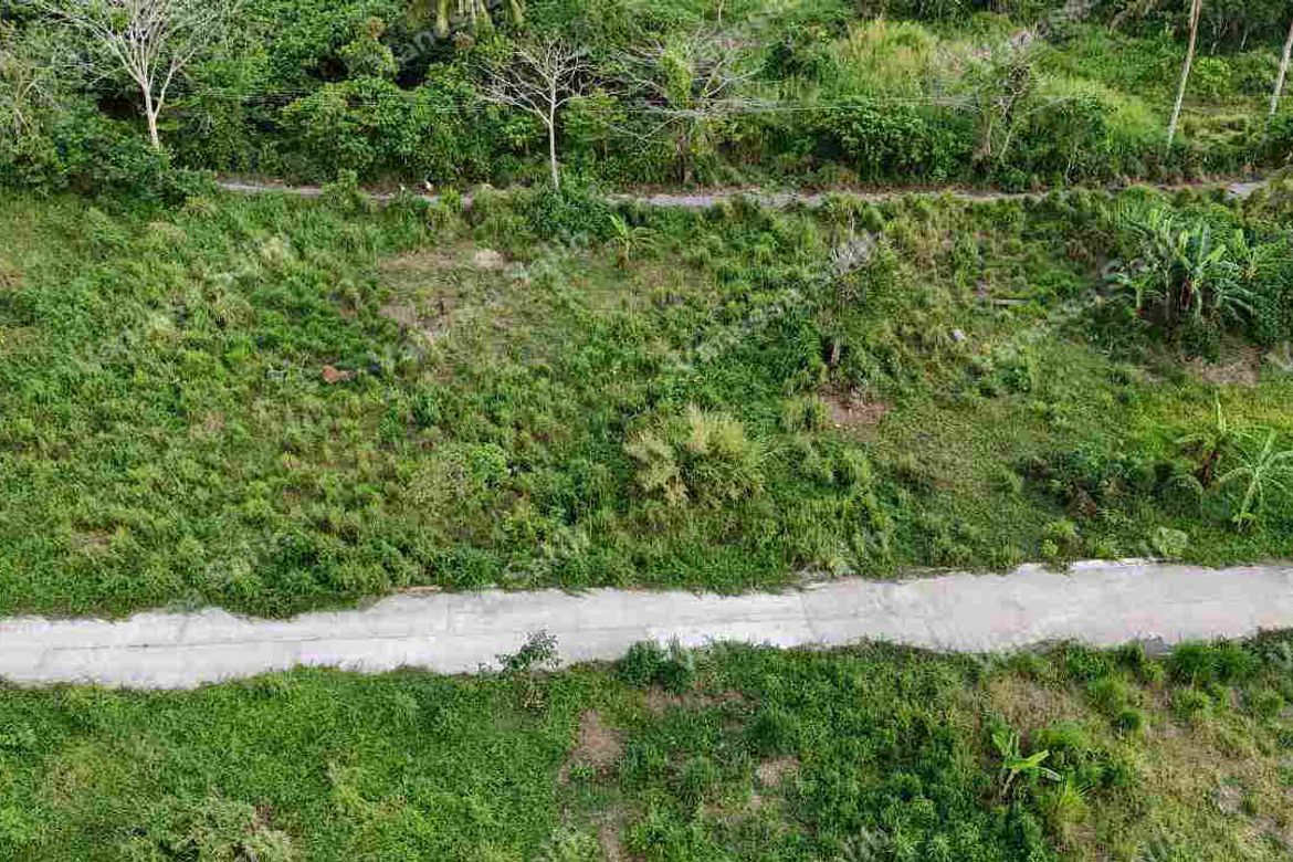 Land for Sale in Panungyan I, Mendez, Cavite – photo 7