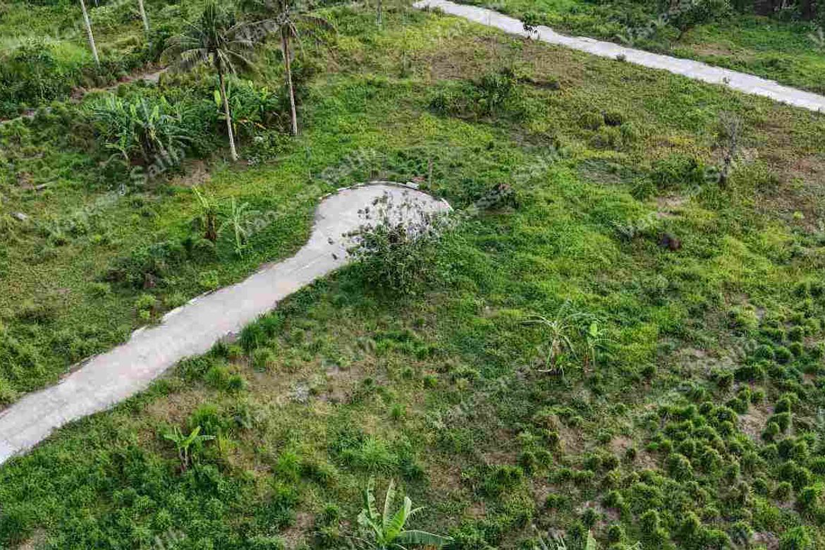 Land for Sale in Panungyan I, Mendez, Cavite – photo 8