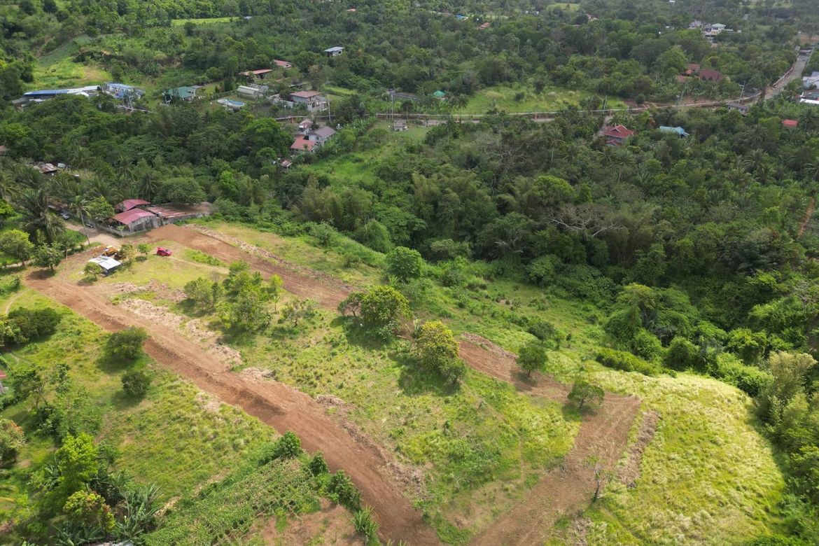 Land for Sale in Panungyan II, Mendez, Cavite – photo 2