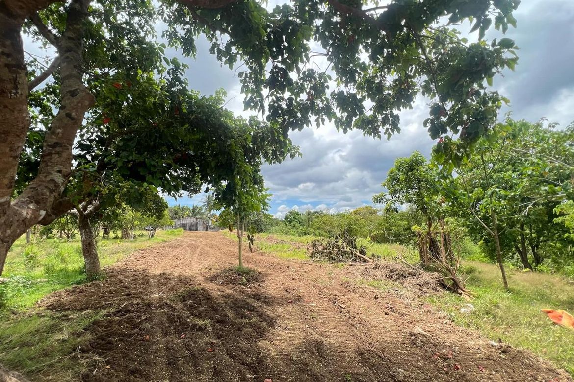 Land for Sale in Panungyan II, Mendez, Cavite – photo 3