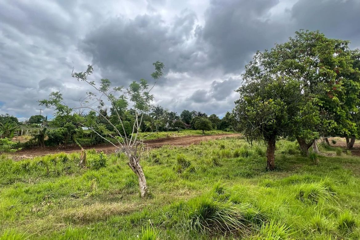 Land for Sale in Panungyan II, Mendez, Cavite – photo 4
