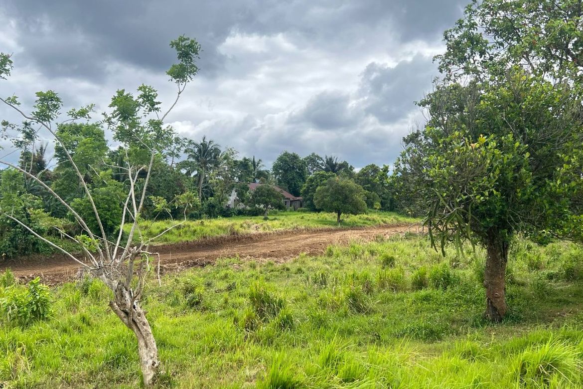 Land for Sale in Panungyan II, Mendez, Cavite – photo 7