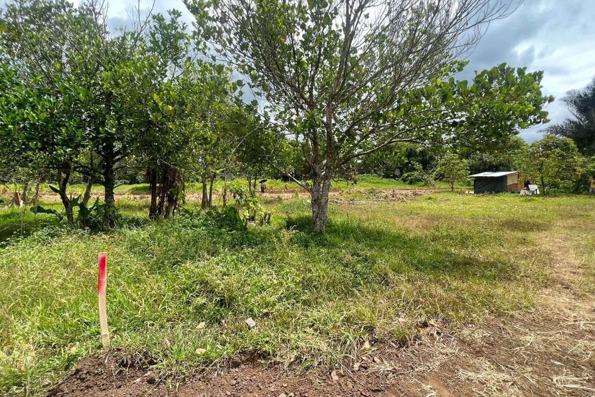 Land for Sale in Panungyan II, Mendez, Cavite – photo 8