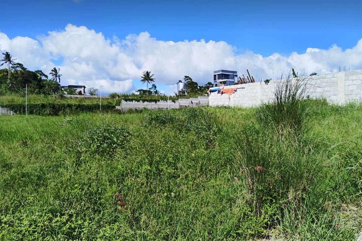 Land for Sale in Panungyan II, Mendez, Cavite – photo 4